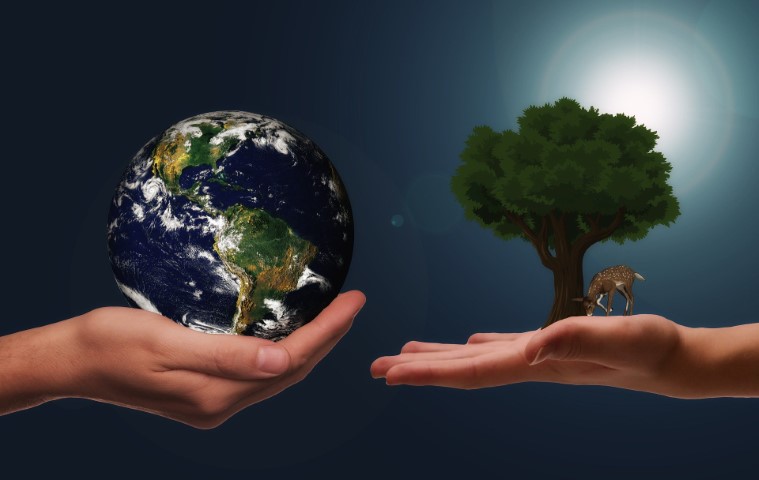 Photo of Earth and a tree on seperate hands